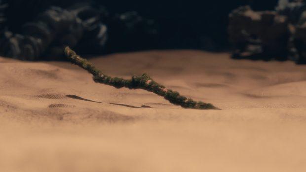 Lineout (thumbnail 12)